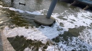 Yamuna Pollution: विधानसभा अध्यक्ष ने यमुना के ‘दूषित’ जल का मुद्दा विशेषाधिकार समिति को भेजा, मांगी रिपोर्ट